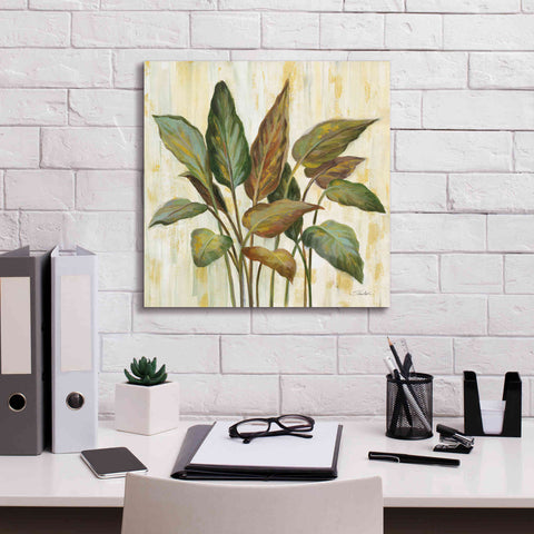 Image of Epic Art 'Fall Greenhouse Leaves' by Silvia Vassileva, Canvas Wall Art,18 x 18