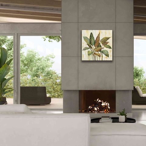 Image of Epic Art 'Fall Greenhouse Leaves' by Silvia Vassileva, Canvas Wall Art,26 x 26