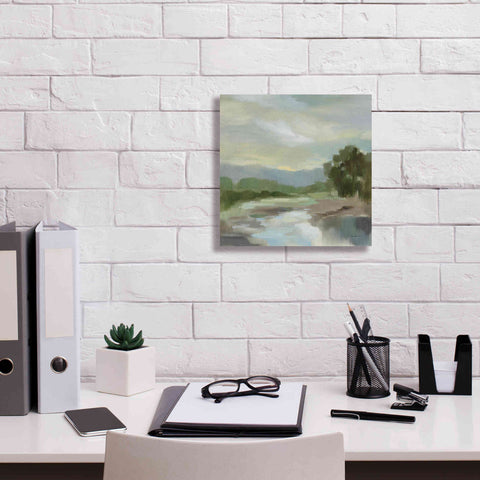 Image of Epic Art 'Sage Lake' by Silvia Vassileva, Canvas Wall Art,12 x 12