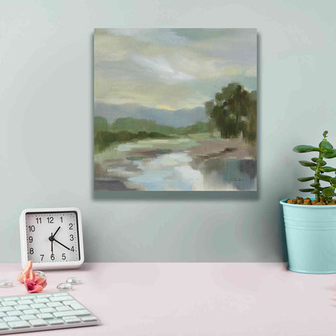 Image of Epic Art 'Sage Lake' by Silvia Vassileva, Canvas Wall Art,12 x 12