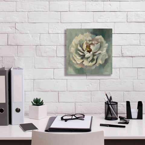 Image of Epic Art 'Dancing Petals' by Silvia Vassileva, Canvas Wall Art,12 x 12