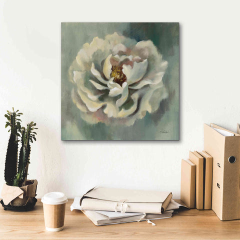 Image of Epic Art 'Dancing Petals' by Silvia Vassileva, Canvas Wall Art,18 x 18
