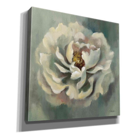 Image of Epic Art 'Dancing Petals' by Silvia Vassileva, Canvas Wall Art,12x12x1.1x0,18x18x1.1x0,26x26x1.74x0,37x37x1.74x0