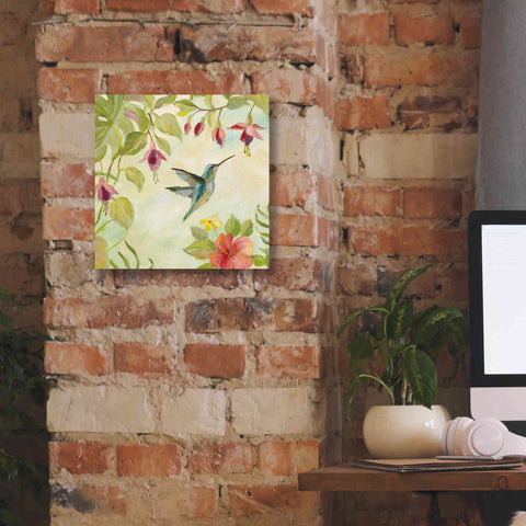 Image of Epic Art 'Hummingbirds Song II' by Silvia Vassileva, Canvas Wall Art,12 x 12