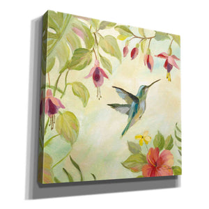 Epic Art 'Hummingbirds Song II' by Silvia Vassileva, Canvas Wall Art,12x12x1.1x0,18x18x1.1x0,26x26x1.74x0,37x37x1.74x0