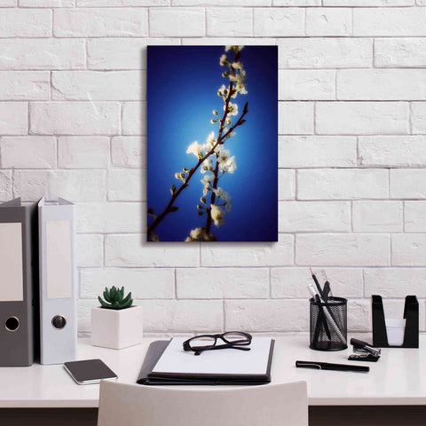 Image of 'Almost Blue' by Cesare Bellassai, Canvas Wall Art,12 x 18