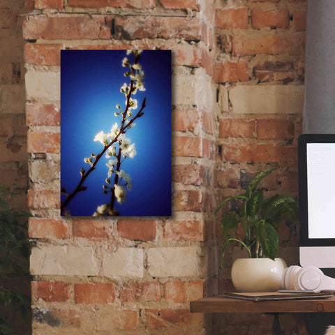 Image of 'Almost Blue' by Cesare Bellassai, Canvas Wall Art,12 x 18