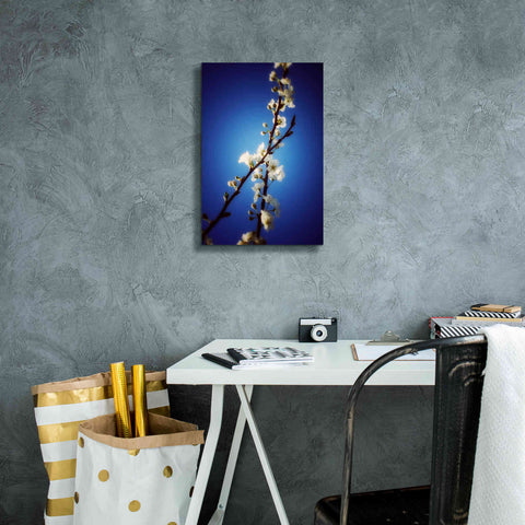 Image of 'Almost Blue' by Cesare Bellassai, Canvas Wall Art,12 x 18