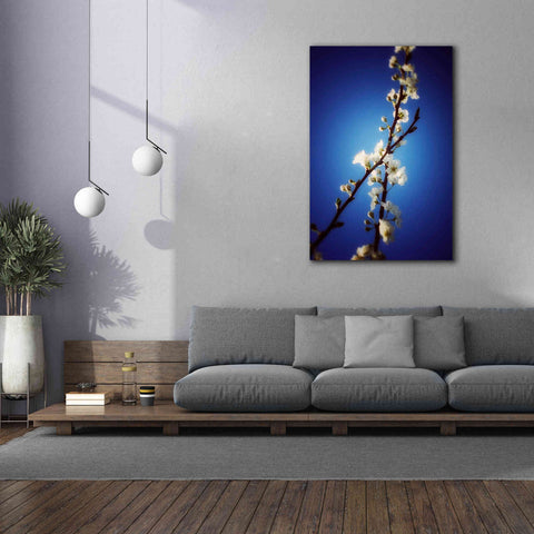 Image of 'Almost Blue' by Cesare Bellassai, Canvas Wall Art,40 x 60