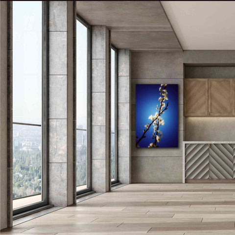 Image of 'Almost Blue' by Cesare Bellassai, Canvas Wall Art,40 x 60