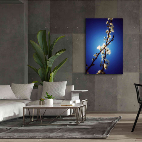 Image of 'Almost Blue' by Cesare Bellassai, Canvas Wall Art,40 x 60