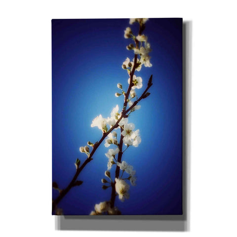 Image of 'Almost Blue' by Cesare Bellassai, Canvas Wall Art,12x18x1.1x0,18x26x1.1x0,26x40x1.74x0,40x60x1.74x0