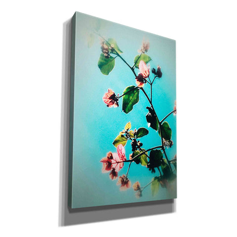 Image of 'Bloom & Beauty' by Cesare Bellassai, Canvas Wall Art,12x18x1.1x0,18x26x1.1x0,26x40x1.74x0,40x60x1.74x0