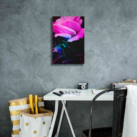 Image of 'Eternal Passion' by Cesare Bellassai, Canvas Wall Art,12 x 18