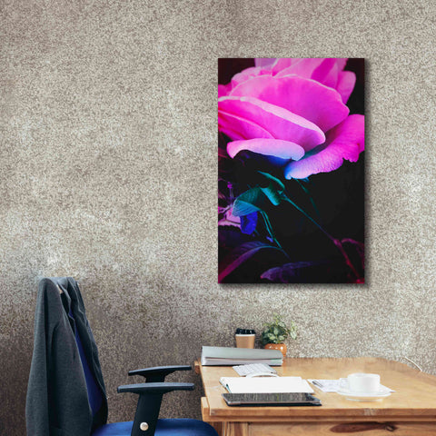 Image of 'Eternal Passion' by Cesare Bellassai, Canvas Wall Art,26 x 40