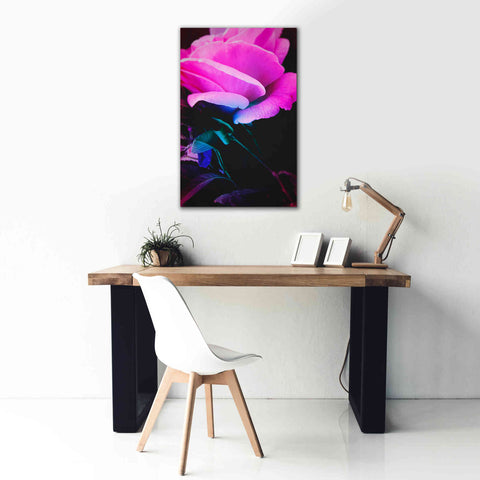 Image of 'Eternal Passion' by Cesare Bellassai, Canvas Wall Art,26 x 40