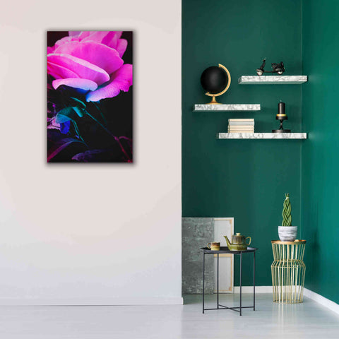 Image of 'Eternal Passion' by Cesare Bellassai, Canvas Wall Art,26 x 40
