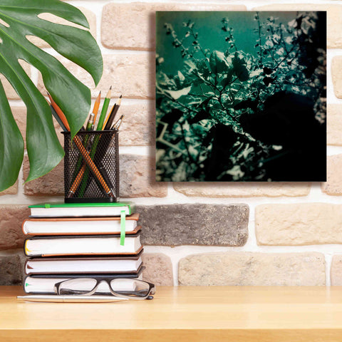 Image of 'Green Poem' by Cesare Bellassai, Canvas Wall Art,12 x 12