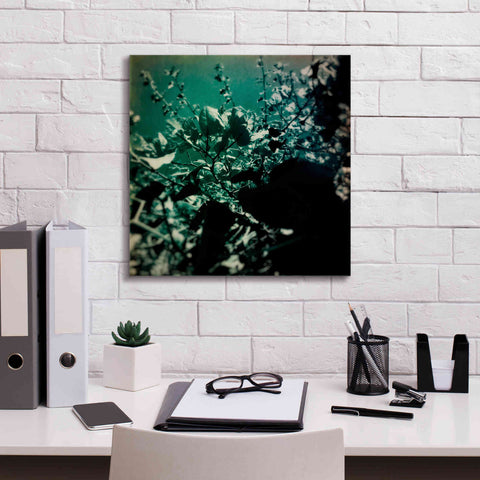 Image of 'Green Poem' by Cesare Bellassai, Canvas Wall Art,18 x 18