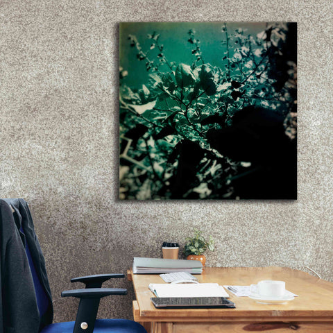 Image of 'Green Poem' by Cesare Bellassai, Canvas Wall Art,37 x 37