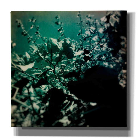 Image of 'Green Poem' by Cesare Bellassai, Canvas Wall Art,12x12x1.1x0,18x18x1.1x0,26x26x1.74x0,37x37x1.74x0