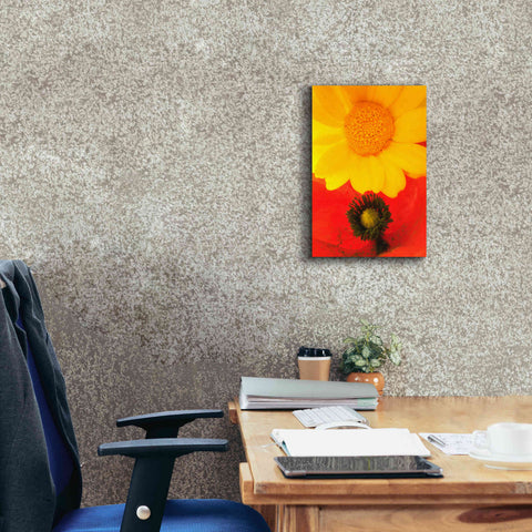 Image of 'Spring Love' by Cesare Bellassai, Canvas Wall Art,12 x 18