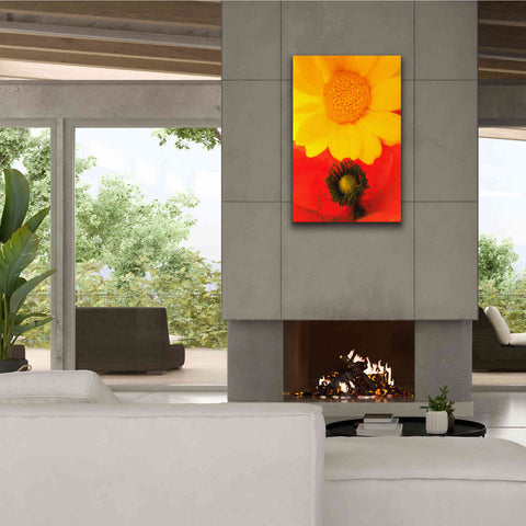 Image of 'Spring Love' by Cesare Bellassai, Canvas Wall Art,26 x 40