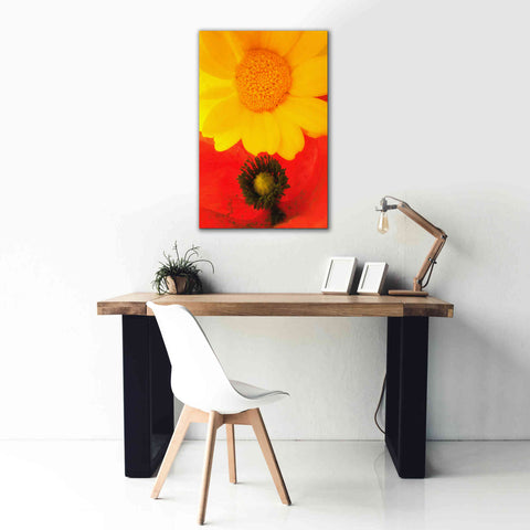 Image of 'Spring Love' by Cesare Bellassai, Canvas Wall Art,26 x 40