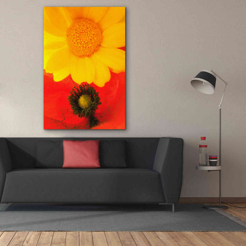 Image of 'Spring Love' by Cesare Bellassai, Canvas Wall Art,40 x 60