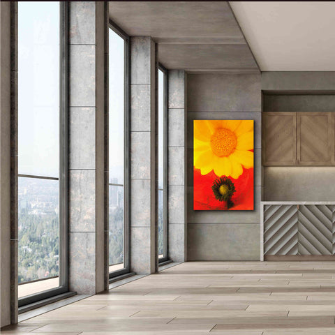 Image of 'Spring Love' by Cesare Bellassai, Canvas Wall Art,40 x 60