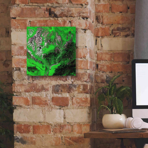 Image of 'Earth as Art: Araca River' Canvas Wall Art,12 x 12