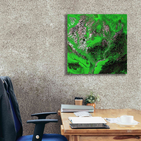Image of 'Earth as Art: Araca River' Canvas Wall Art,26 x 26