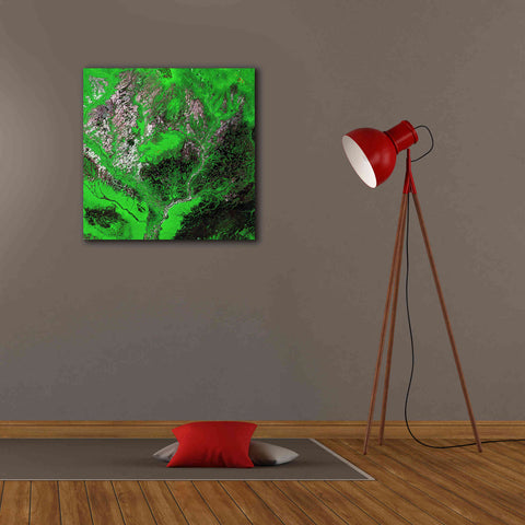 Image of 'Earth as Art: Araca River' Canvas Wall Art,26 x 26