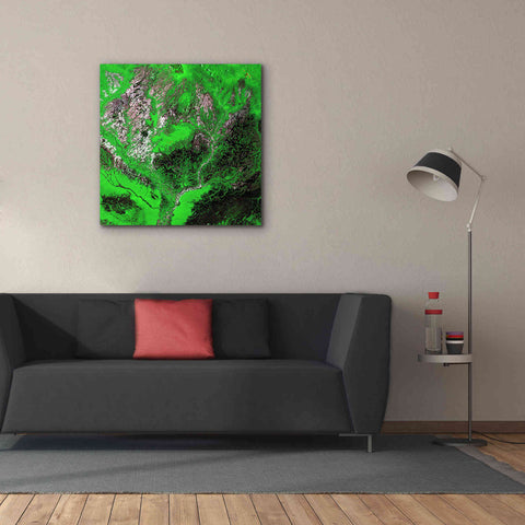 Image of 'Earth as Art: Araca River' Canvas Wall Art,37 x 37