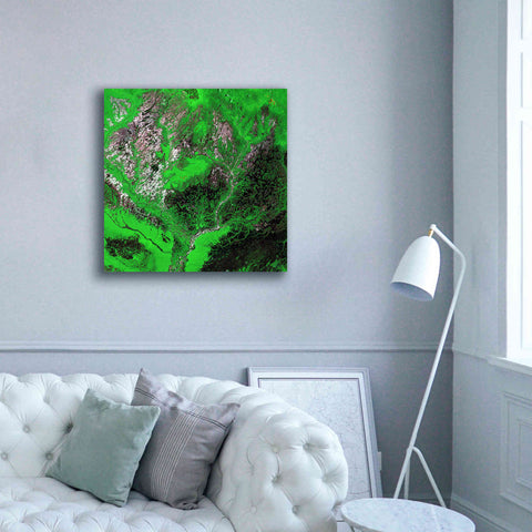Image of 'Earth as Art: Araca River' Canvas Wall Art,37 x 37