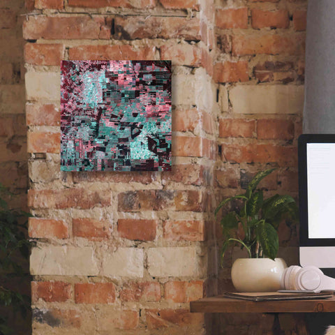 Image of 'Earth as Art: Bolivia Deforestation' Canvas Wall Art,12 x 12