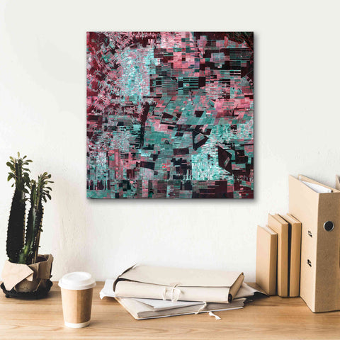 Image of 'Earth as Art: Bolivia Deforestation' Canvas Wall Art,18 x 18