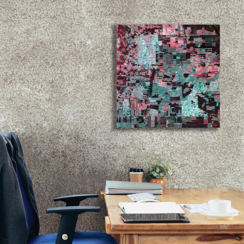 Image of 'Earth as Art: Bolivia Deforestation' Canvas Wall Art,26 x 26