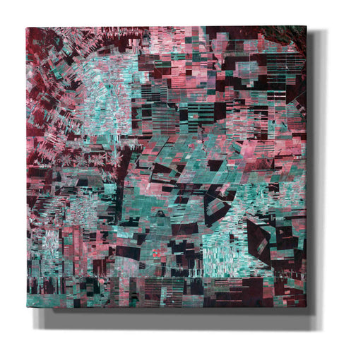 Image of 'Earth as Art: Bolivia Deforestation' Canvas Wall Art