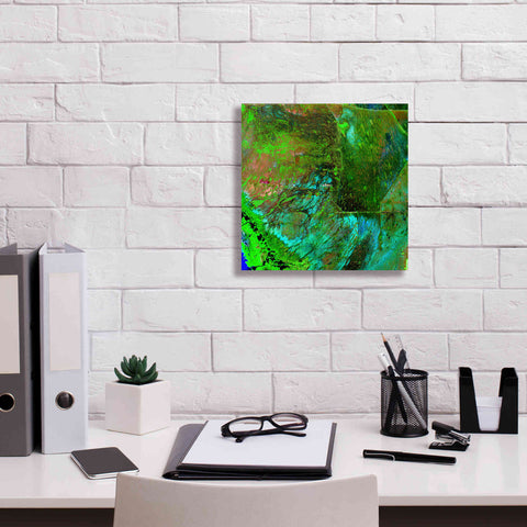 Image of 'Earth as Art: Everglades ' Canvas Wall Art,12 x 12