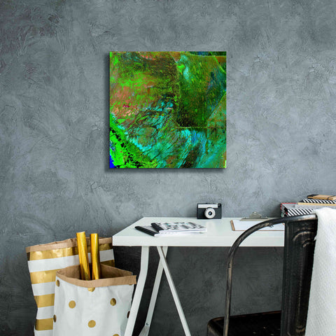 Image of 'Earth as Art: Everglades ' Canvas Wall Art,18 x 18