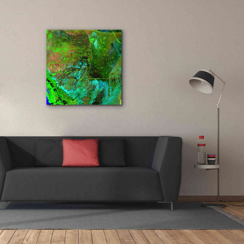 Image of 'Earth as Art: Everglades ' Canvas Wall Art,37 x 37
