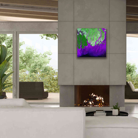 Image of 'Earth as Art: Ganges RIver Delta' Canvas Wall Art,26 x 26