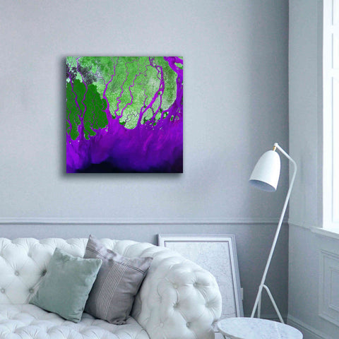 Image of 'Earth as Art: Ganges RIver Delta' Canvas Wall Art,37 x 37
