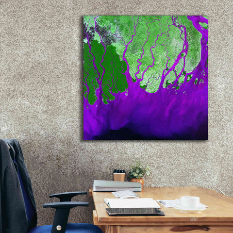 Image of 'Earth as Art: Ganges RIver Delta' Canvas Wall Art,37 x 37