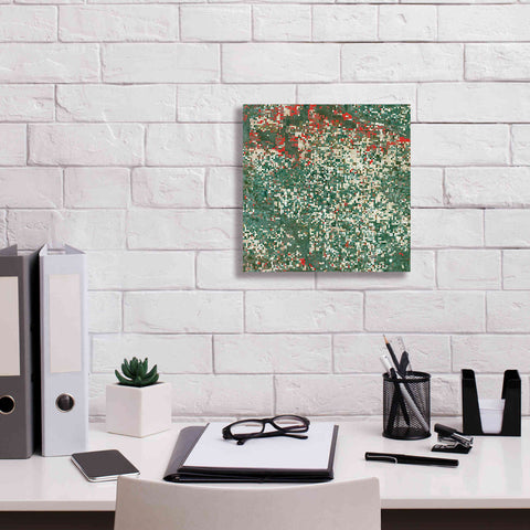 Image of 'Earth as Art: Garden City' Canvas Wall Art,12 x 12