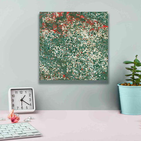 Image of 'Earth as Art: Garden City' Canvas Wall Art,12 x 12