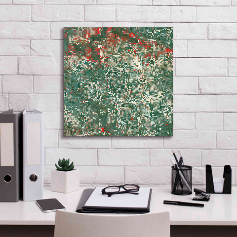 Image of 'Earth as Art: Garden City' Canvas Wall Art,18 x 18