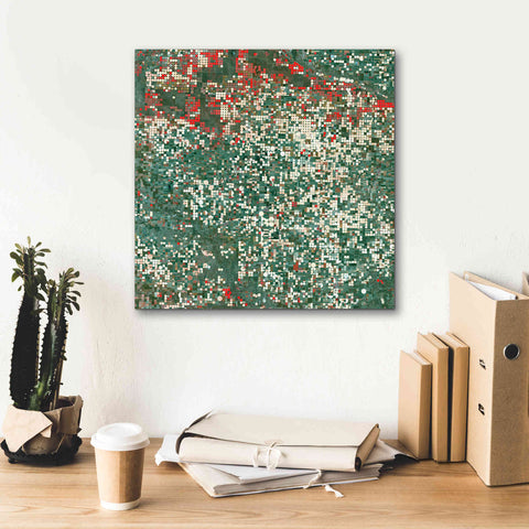 Image of 'Earth as Art: Garden City' Canvas Wall Art,18 x 18
