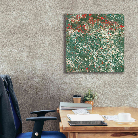 Image of 'Earth as Art: Garden City' Canvas Wall Art,26 x 26